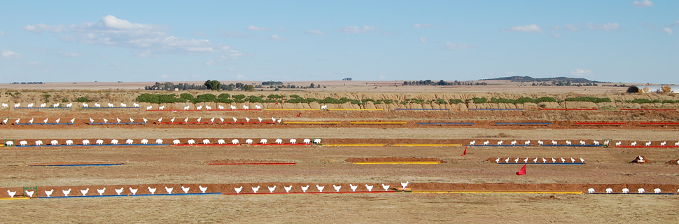 2016Bloemfonteinimg03.jpg