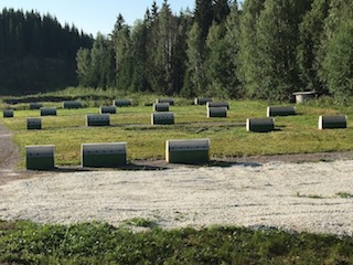 4_©FFTIR:JFRaybaud - WCH SM Sipoo_©FFTIR:JFRaybaud - WCH SM Sipoo 24:07.jpg