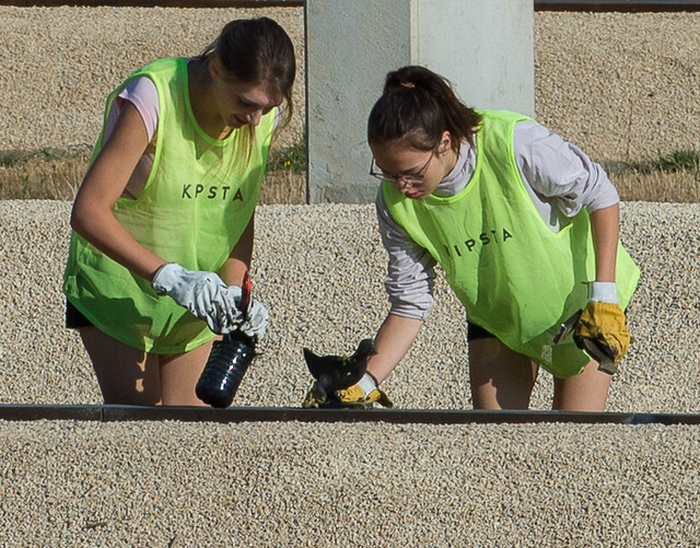 CdFSM2019_CNTS_©FFTir_SiteWeb4.jpg