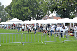 DSC_0823.JPG
