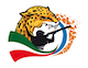 mini logo CM Acapulco 2.jpg