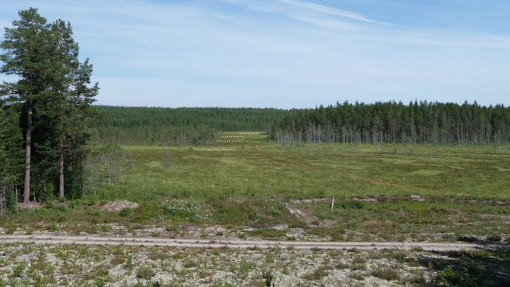 Photo 2 carabine GC.JPG
